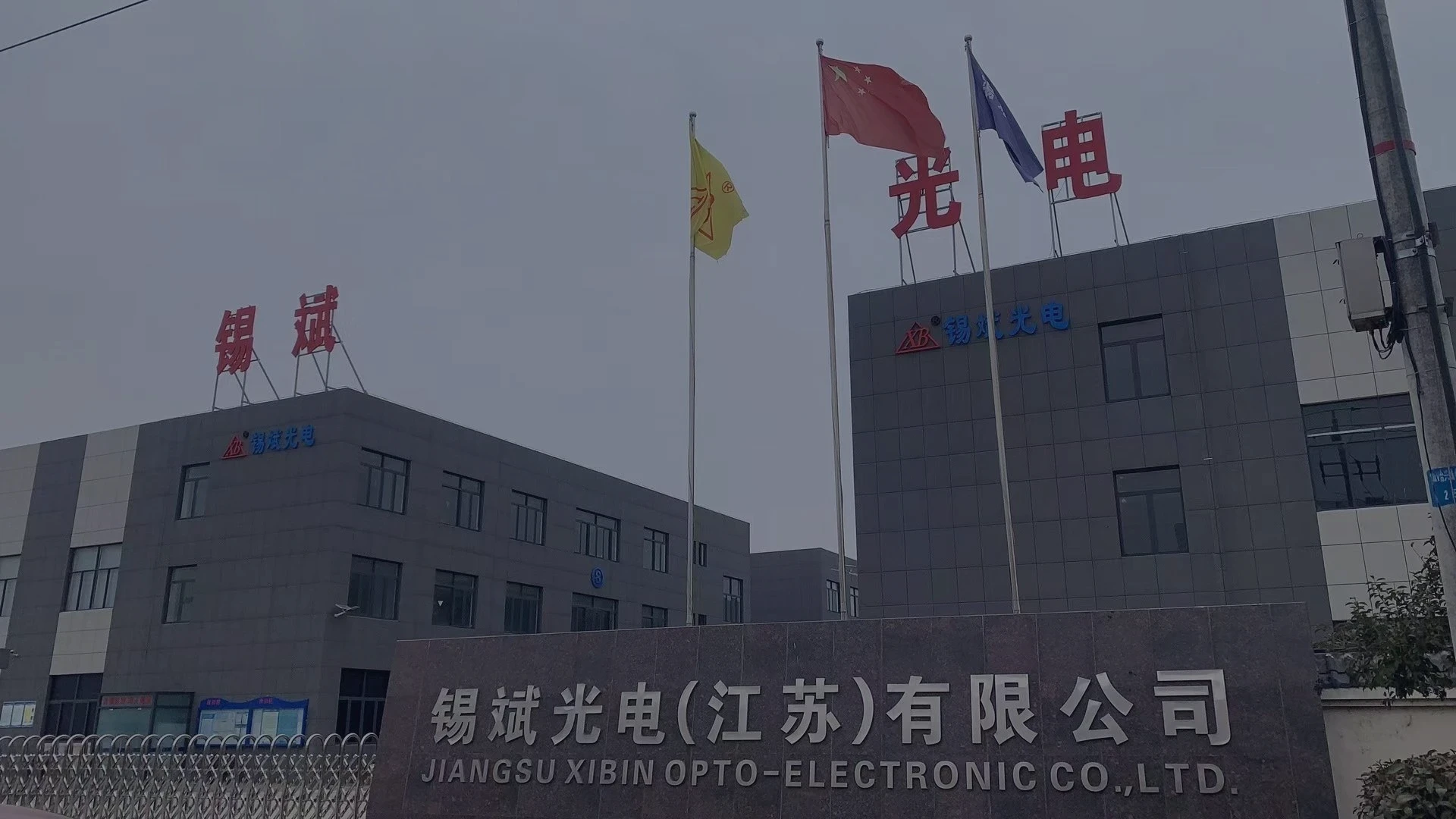 Company Introduction