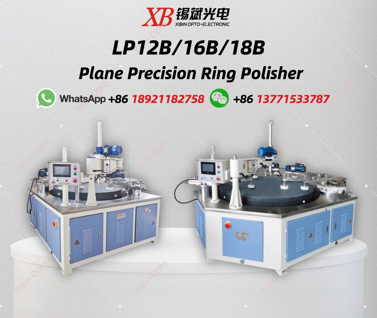 LP12B/16B/18B Plane Precision Ring Polisher